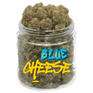 Blue Cheese Marijuana Strain