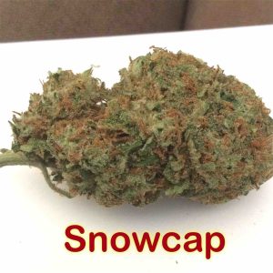 snow cap weed